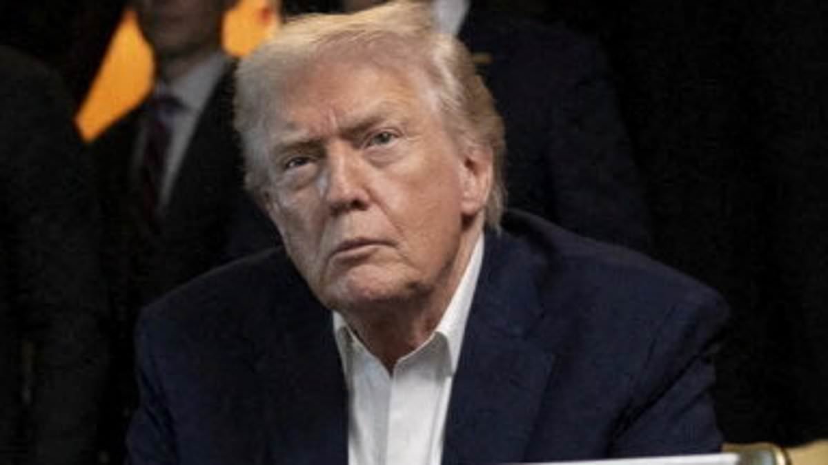 Trump reveals his new secret weapon nicknamed 'The Discombobulator' used to take down America's enemies: 'I'm not allowed to talk about it'