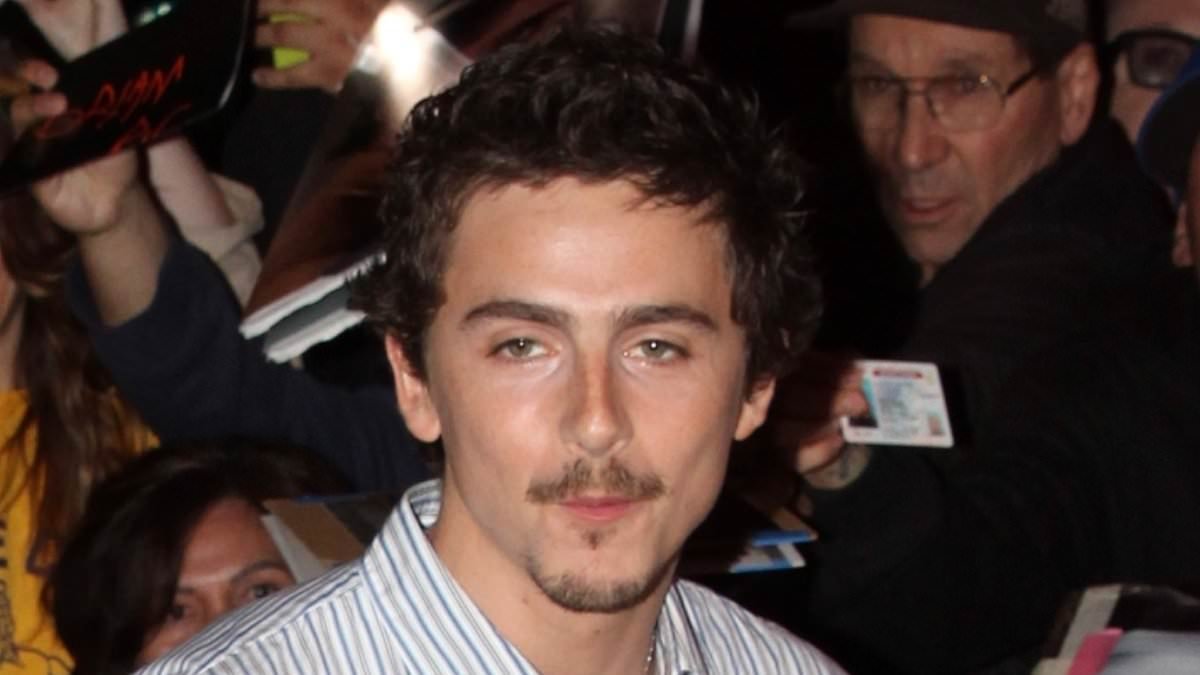 Timothée Chalamet says he is 'forever indebted' to a supportive fan after audience's awkward welcome at Marty Supreme Q&A with Elle Fanning