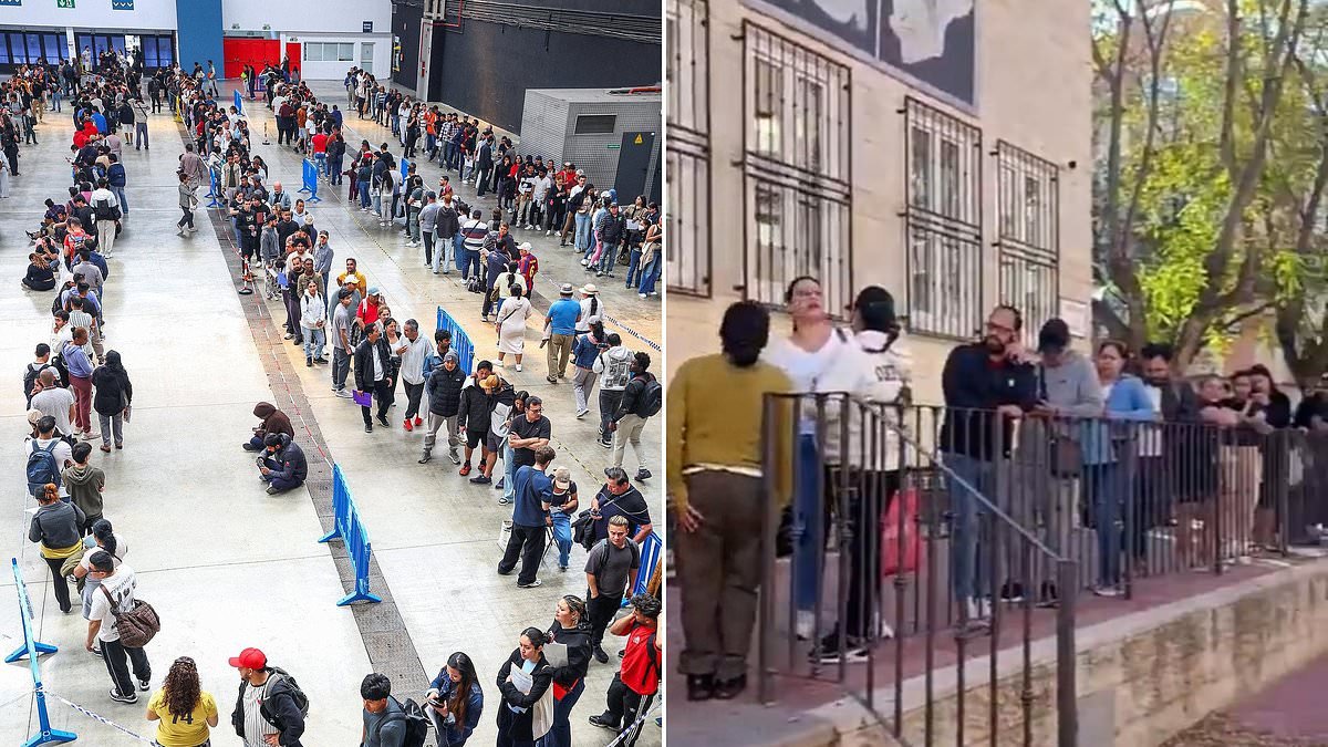 Spain throws open its doors to undocumented migrants: Huge queues continue to form after socialist government granted citizenship to 500,000 people