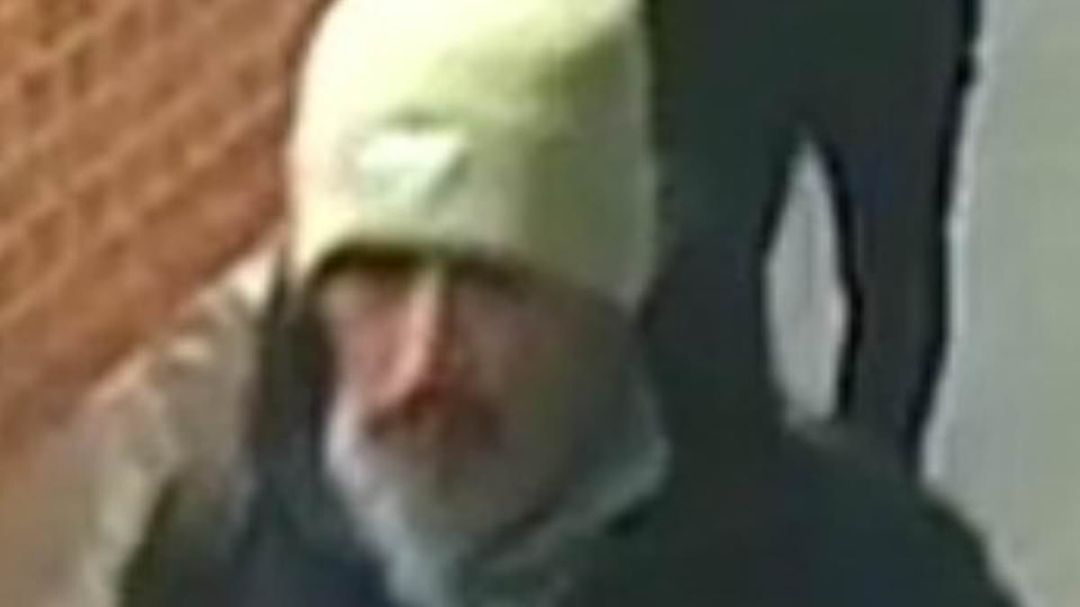 Manhunt launched after woman's suitcase and handbag worth more than £8,000 are stolen from outside London train station in 'paint scam'