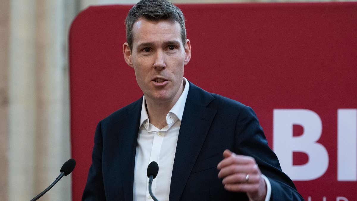 Minister says house prices should FALL - with a 'market adjustment' in London - if Labour can hit target of building 1.5m new homes