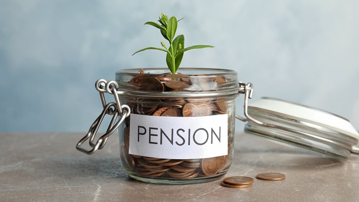 Hands off our pension pots, experts warn meddling ministers