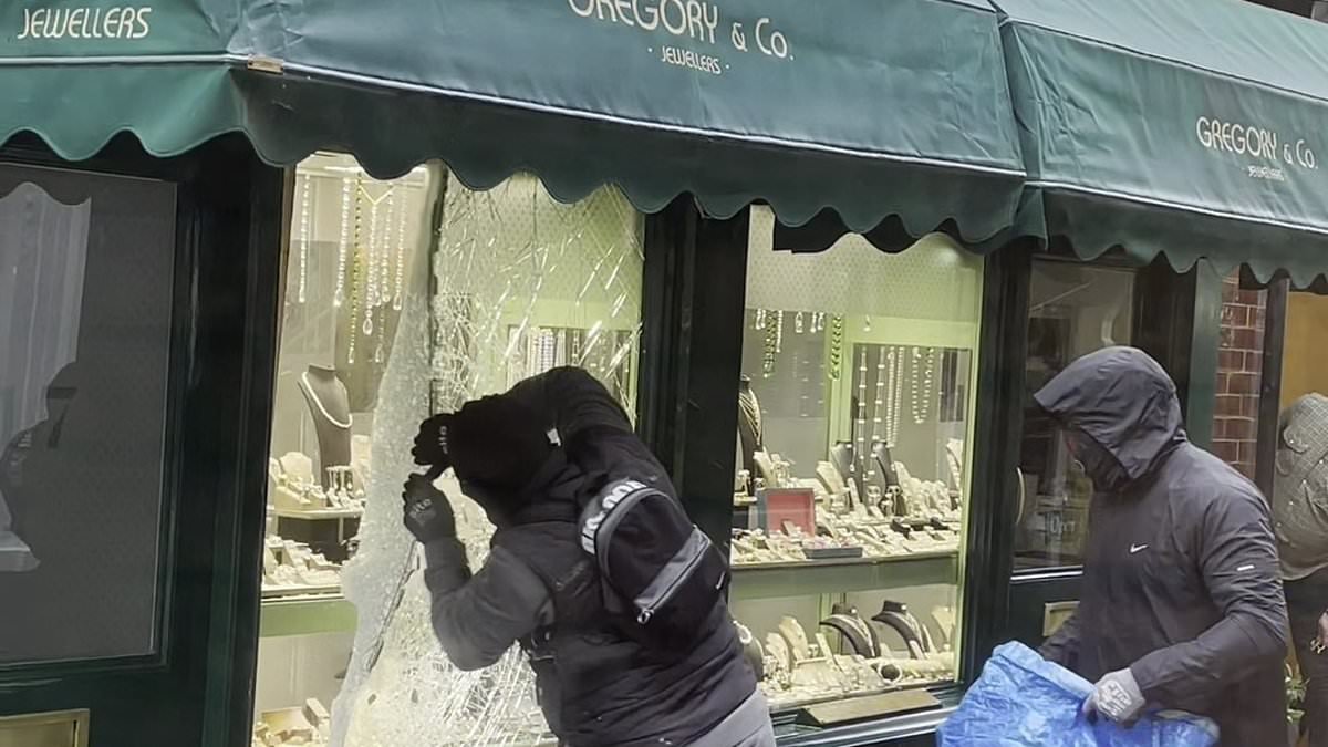 South American gangs are raiding UK jewellers with 'military precision' then flying out of the country in 48 hours, says ex-Flying Squad detective with £2m of hauls grabbed already in 2026