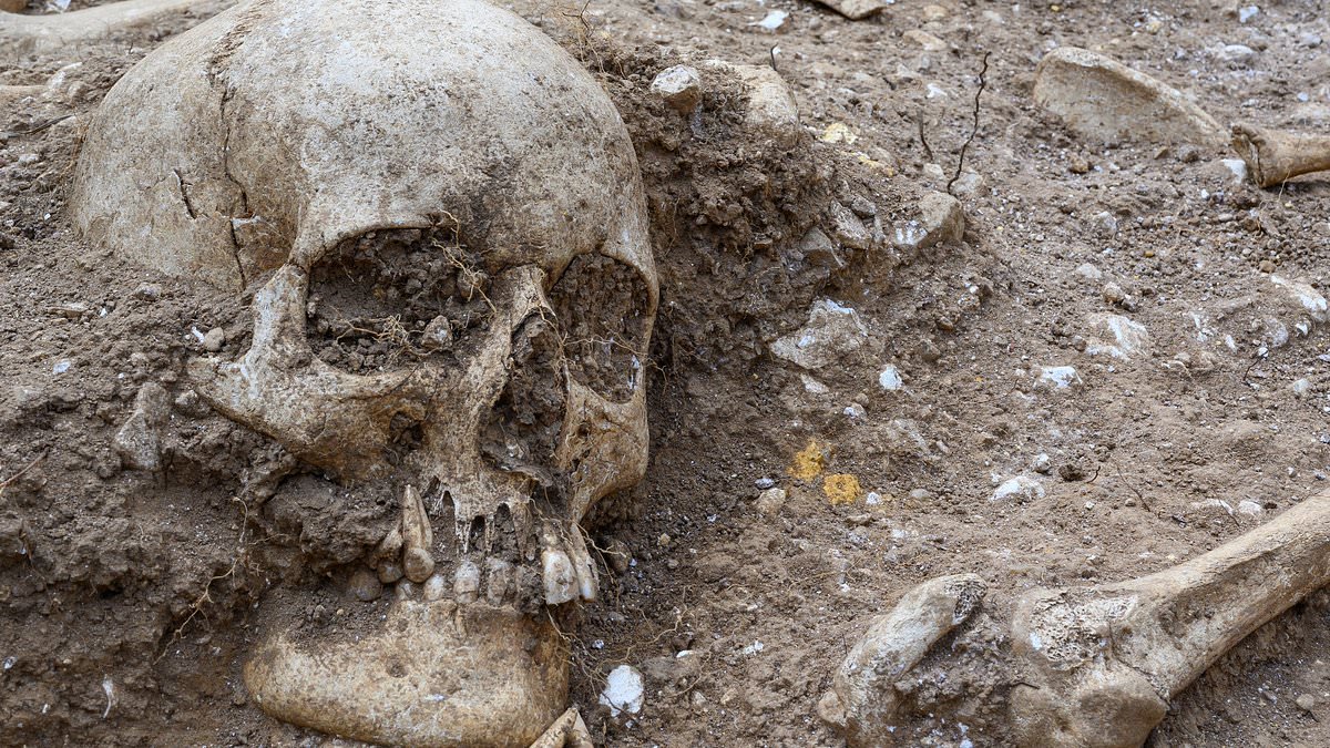 Viking-era burial pit filled with decapitated and mutilated bodies including 'giant' with 'hole in his skull' is found on outskirts of British city