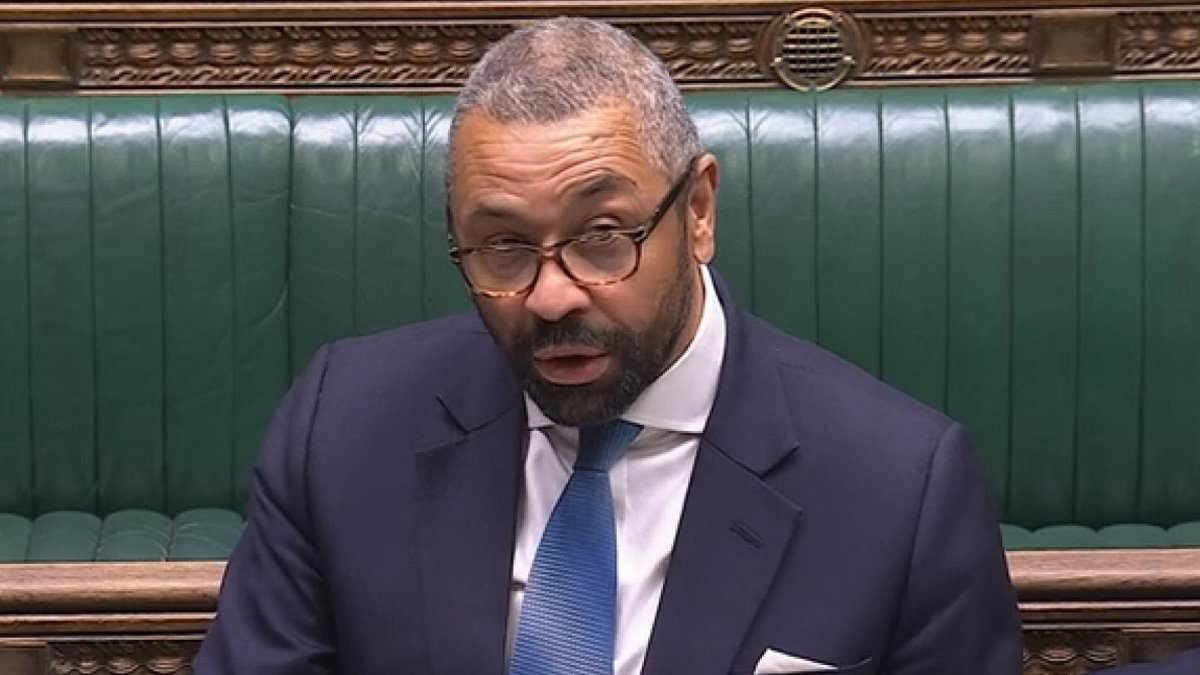 QUENTIN LETTS: Cleverly flew into a remonstrance... appalled at a stitch-up for the shires