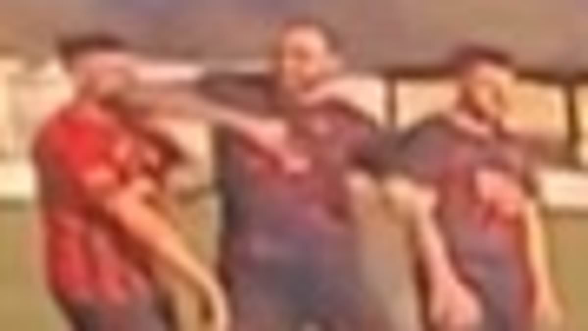 Footballer is arrested after 'brutally elbowing opponent in the face' as his club release him and police appeal for information