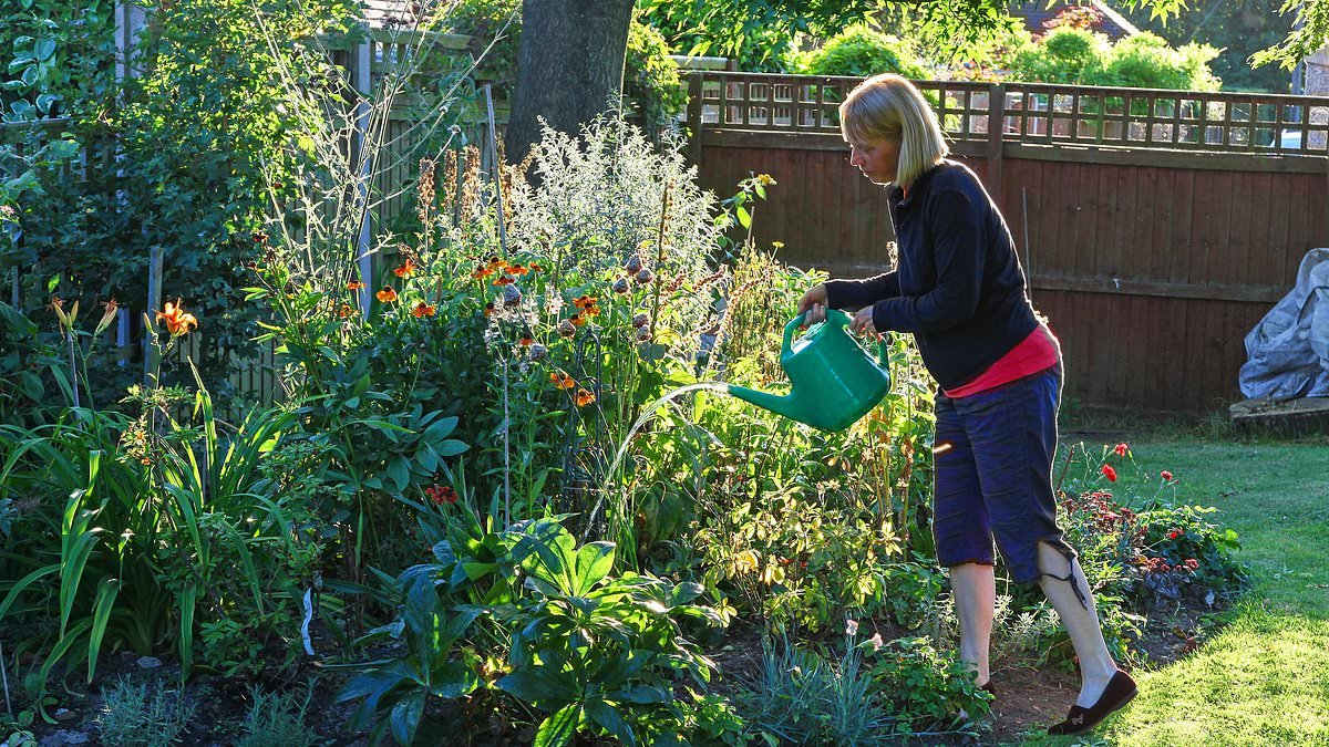 Expert reveals how to take advantage of this week's mini heatwave to make sure your garden thrives in summer - including the exact times of day to water your plants
