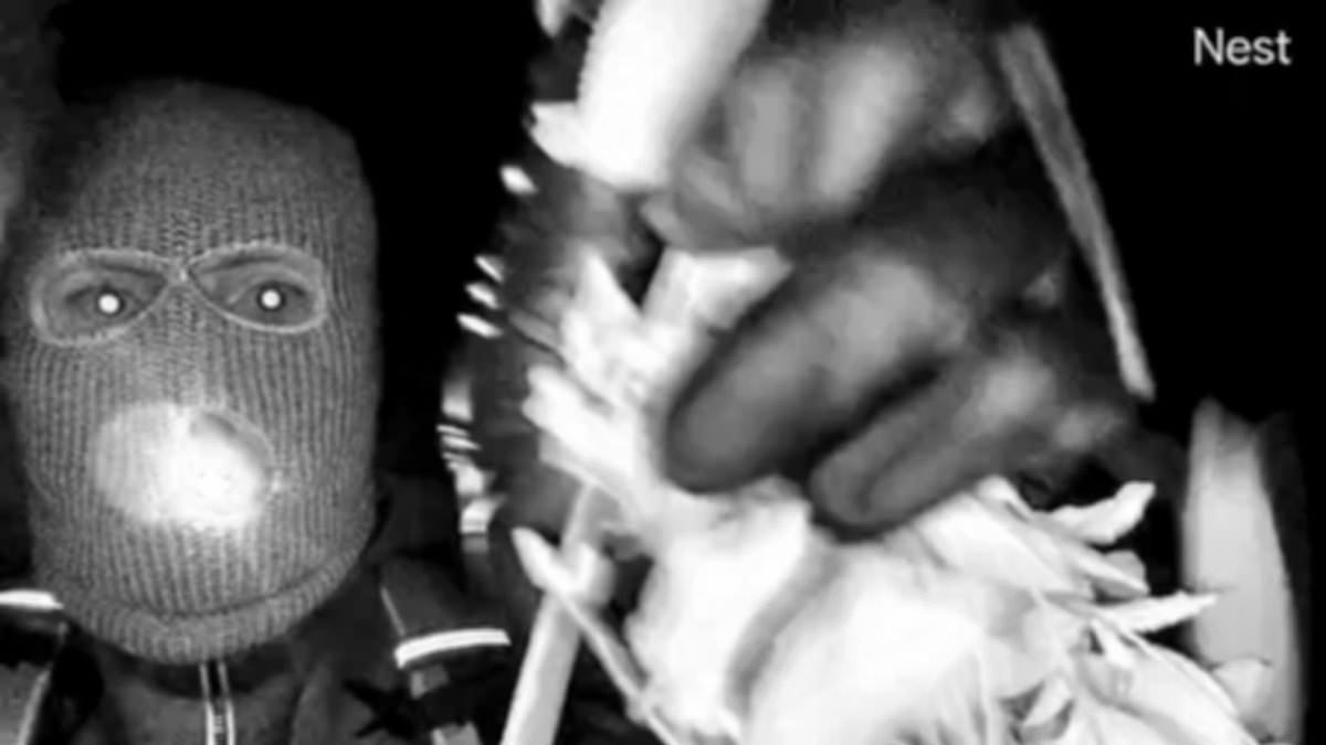 Nancy Guthrie's family say they do NOT recognize masked figure filmed on night of abduction as investigators seen searching bushes near home of Annie and son-in-law Tommaso Cioni's home