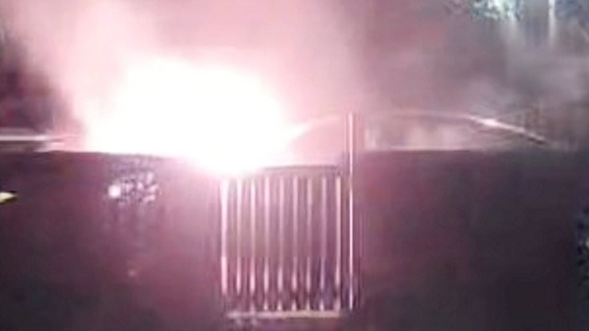Moment £12,000 second-hand Tesla 'explodes' while parked on the side of the road