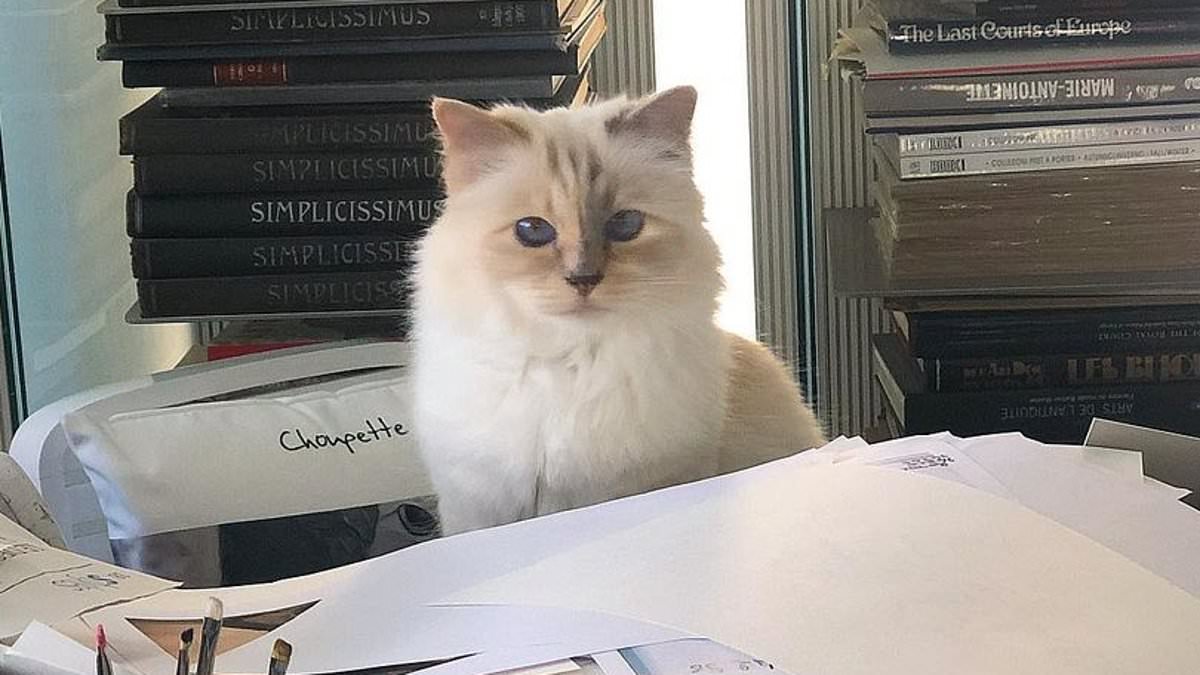 Cat fight breaks out over Karl Lagerfeld's €200m fortune! Designer's will is challenged - seven years after he left his family NOTHING and gave it all to his assistant, teenage godson, two male models and his beloved pet Choupette