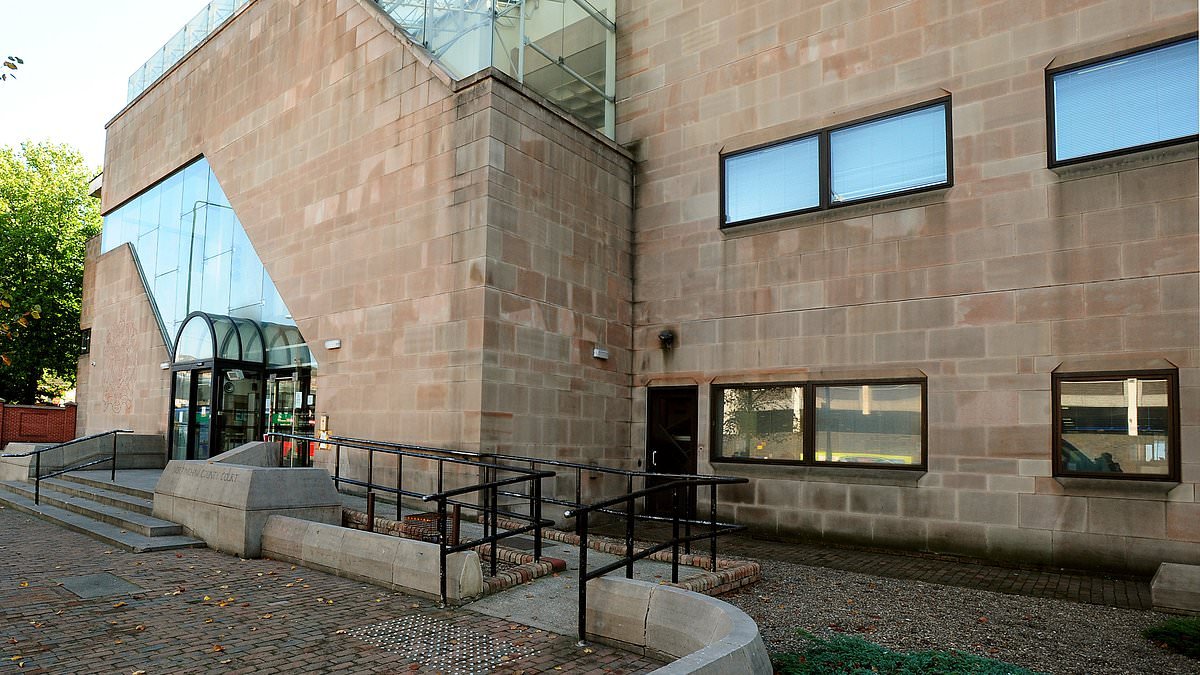 Teenage boys raped woman in a town centre alleyway just minutes after meeting her, court hears