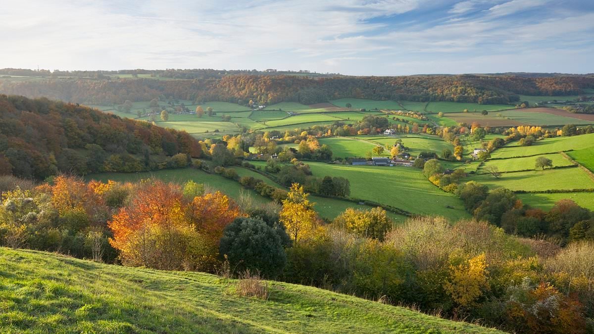 Diversity drive to make Britain's countryside more welcoming to minorities after report found it was 'too white' and 'middle class'