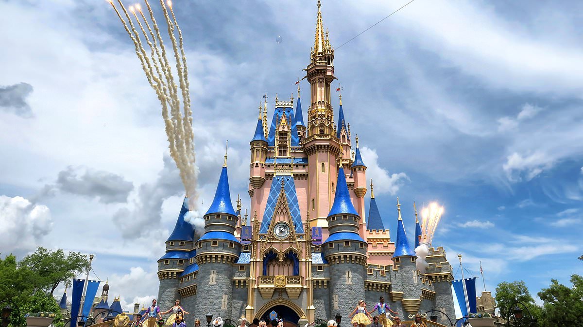 Disney warns falling US tourist numbers will hit theme parks business