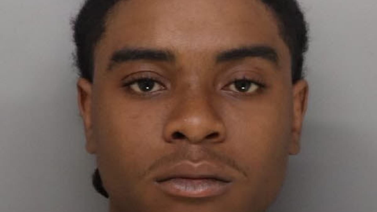 Brawl breaks out in courtroom as man who murdered teen boy is given a plea deal