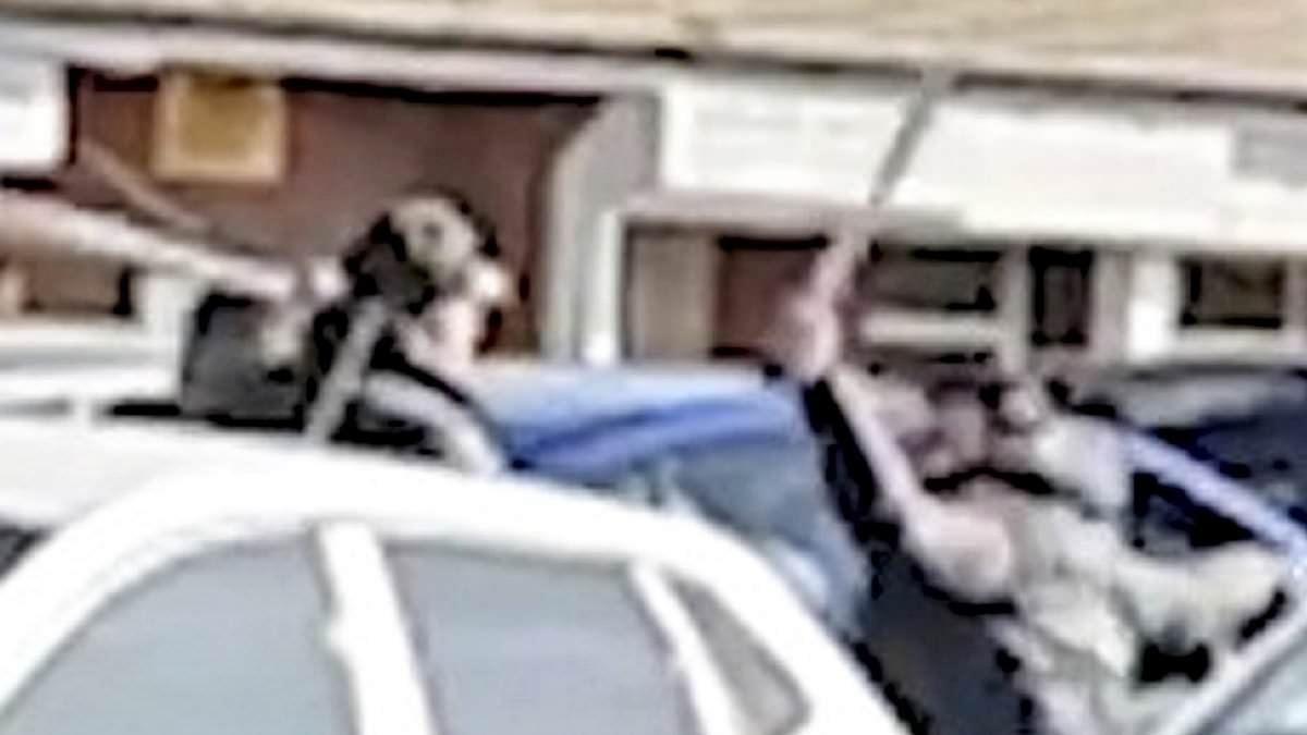 Moment thugs wield machetes and fire a gun during vicious street brawl in front of shocked passersby