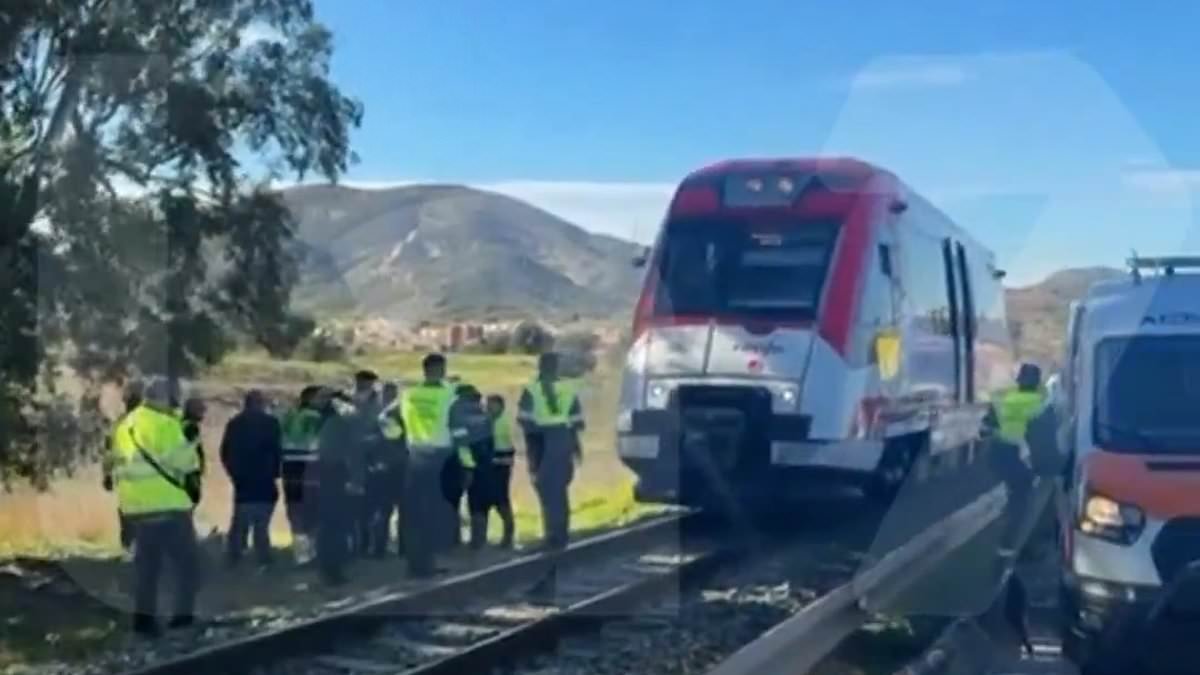 Spain is hit with a THIRD train crash as commuter service slams into a crane leaving several injured days after disaster left dozens dead