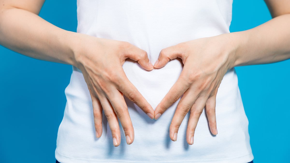Why 'keeping regular' could be the simple way to slash your risk of cancer, diabetes and stroke. Here is the ultimate guide to which 'fibremaxxing' supplements actually work