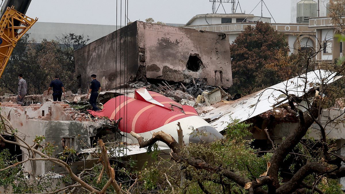 Air India pilot DID turn off fuel switches before crash disaster with human intervention 'almost certainly' intentional, Western sources claim