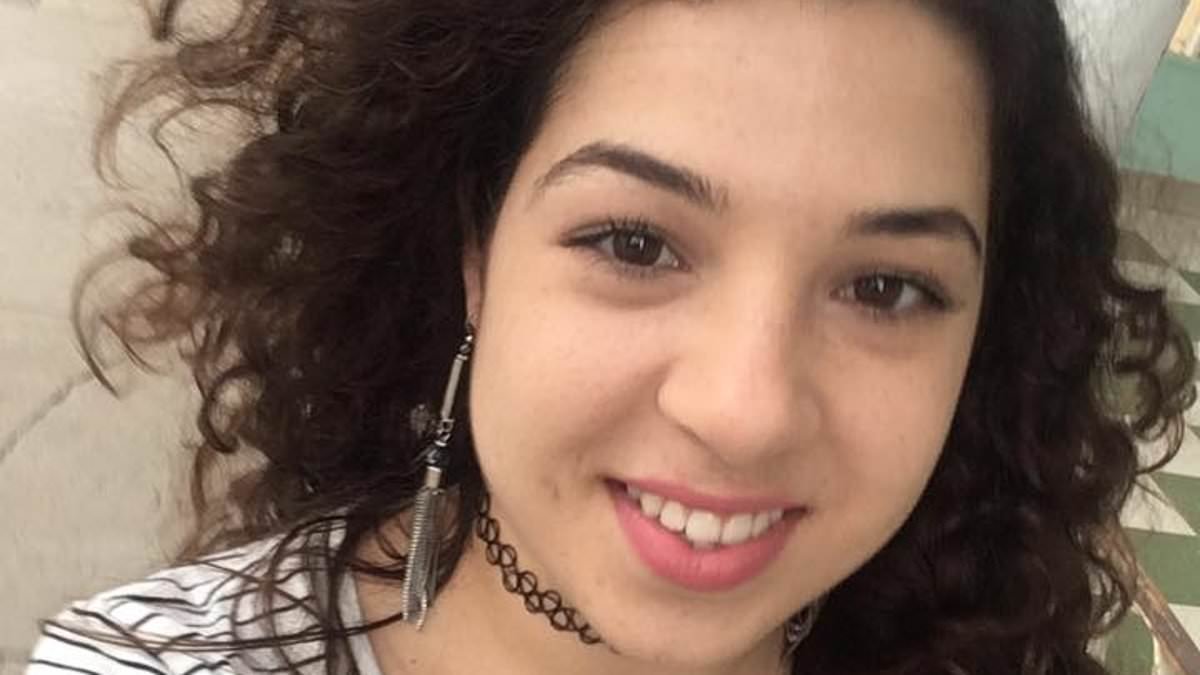 Tesla must pay quarter of a BILLION dollars to family of woman killed after Model S driver crashed into her while bending down to pick up his phone