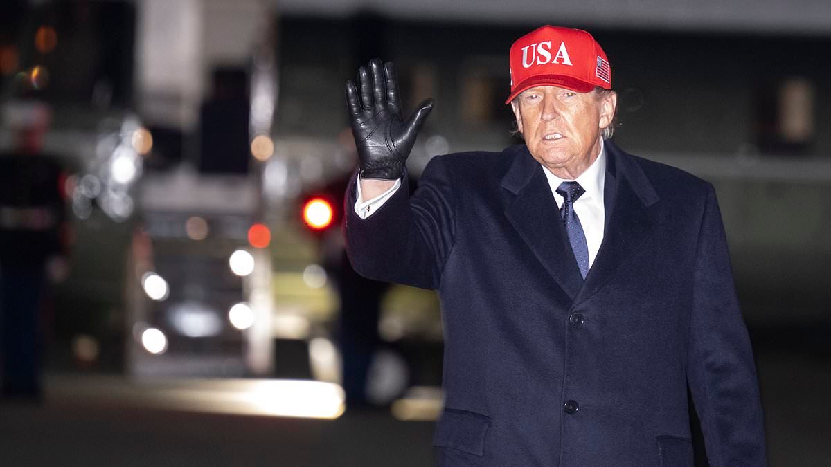 Trump says he'll put US boots on the ground in Iran 'if necessary' as he warns next 'big wave' is near