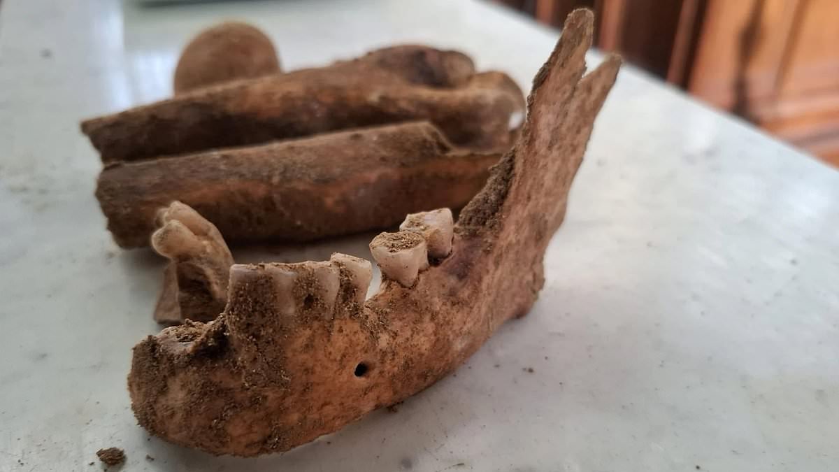 Fourth musketeer D'Artagnan 'is discovered in Dutch church'