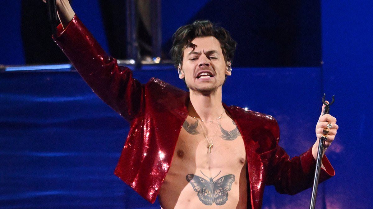 Harry Styles fans go wild as Fred Again...  previews 'beautiful' unreleased ballad from singer's forthcoming album at London show