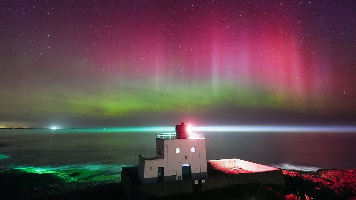 Northern Lights are set to reappear over Britain tonight after they were spotted as far south as Norfolk on Friday