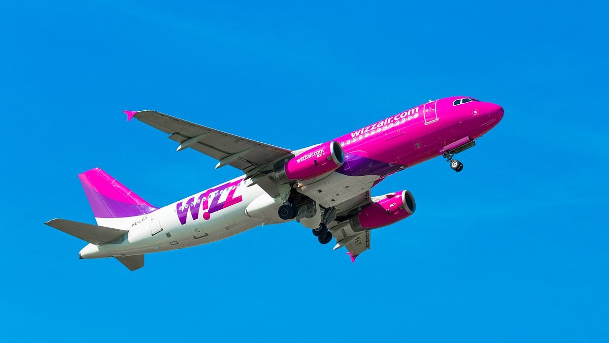 Fighter jets forced to escort passenger plane to safety after a child 'changed his phone name to terrorist'