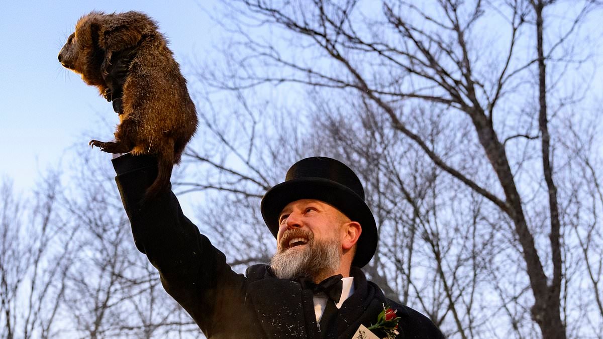 Agony for Americans sick of never-ending cold as Punxsutawney Phil makes VERY grim prediction about upcoming weather