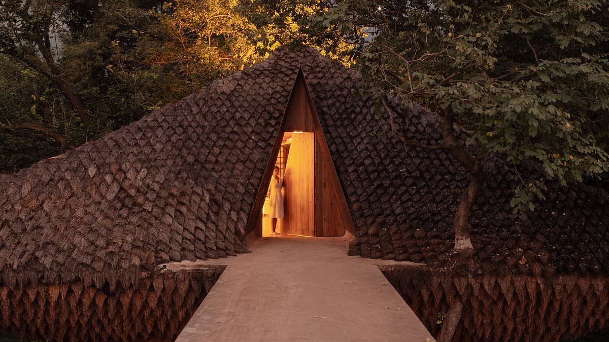 The house built ACROSS a gorge: The incredible home that is also a bridge... and is so unusual the couple behind it couldn't even understand how it worked