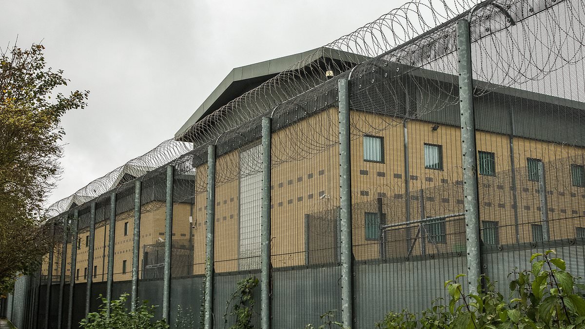 Detained migrants waiting to be deported under Labour's 'one in, one out' scheme accuse the Home Office of 'severe psychological harm'