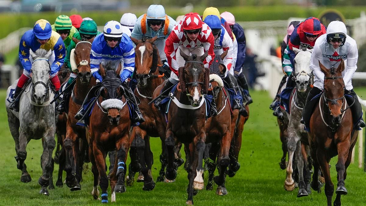 Aintree horse Get on George is put down on Grand National day just 24 hours after Gold Dancer's tragic death