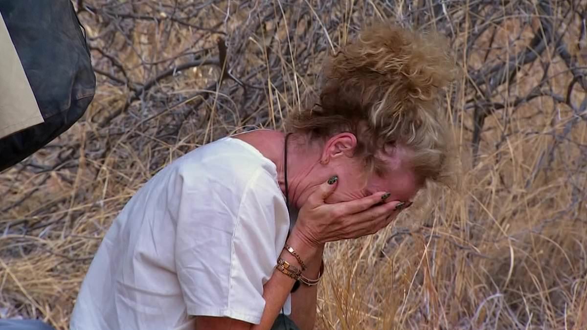 I'm A Celeb viewers shocked by harsh conditions in South Africa as campmates are hit by huge storm during first night and insist 'this is definitely worse than Australia'