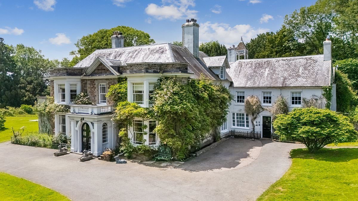 Live like the Rolling Stones! Legendary drummer Charlie Watts' family home goes on sale for £2.75million