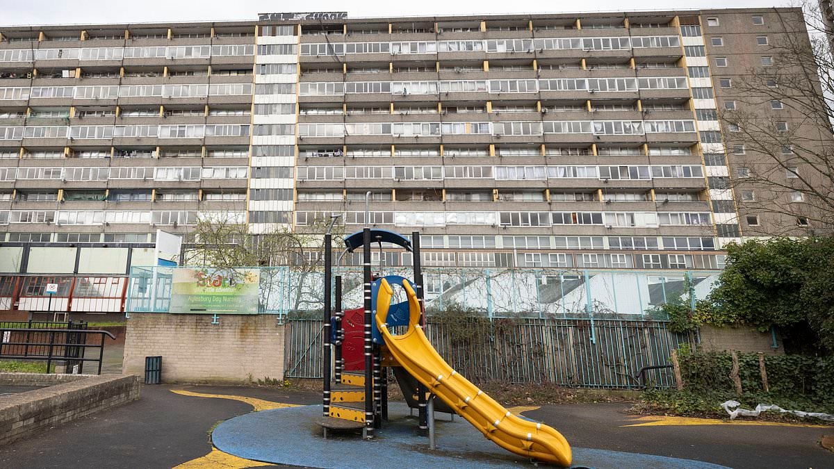 The 'forgotten' residents on Britain's most notorious housing estate: How failed £1.5bn regeneration deal has left London tower blocks overrun with squatters and drugs