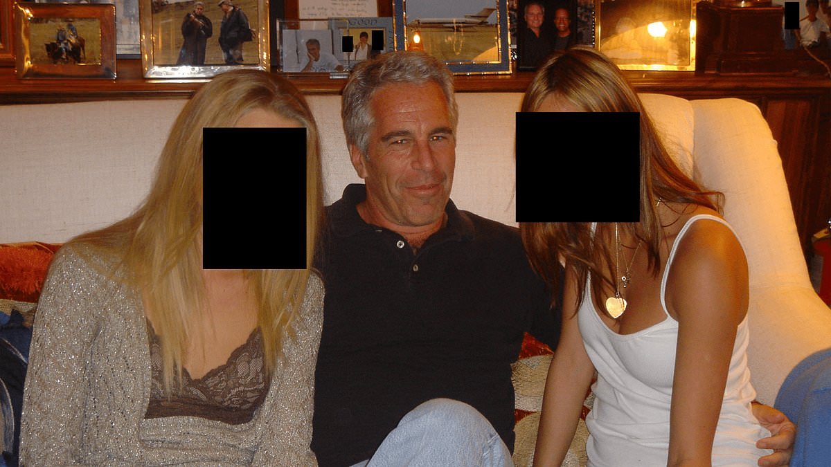 Six things you DIDN'T know about Jeffrey Epstein: His obsessions with hot water bottles and beef jerky, his STDs and how he used OKCupid to seek new targets