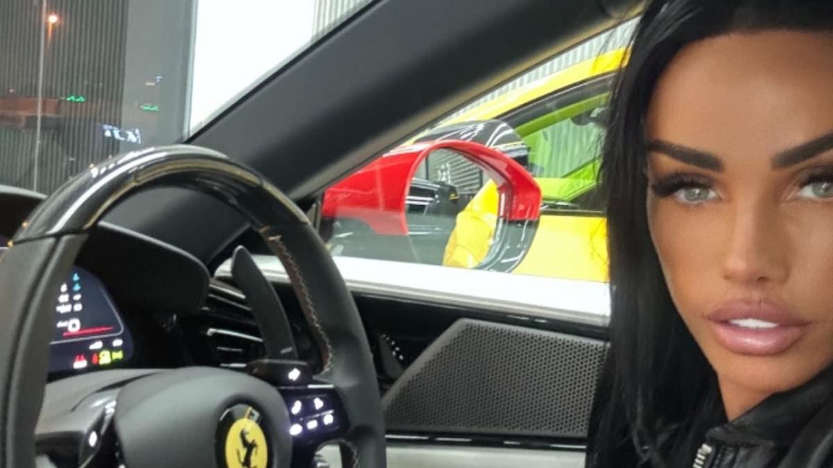 Katie Price's husband Lee Andrews shares plans to get her back on the road by getting her a licence in Dubai - despite her seventh driving ban