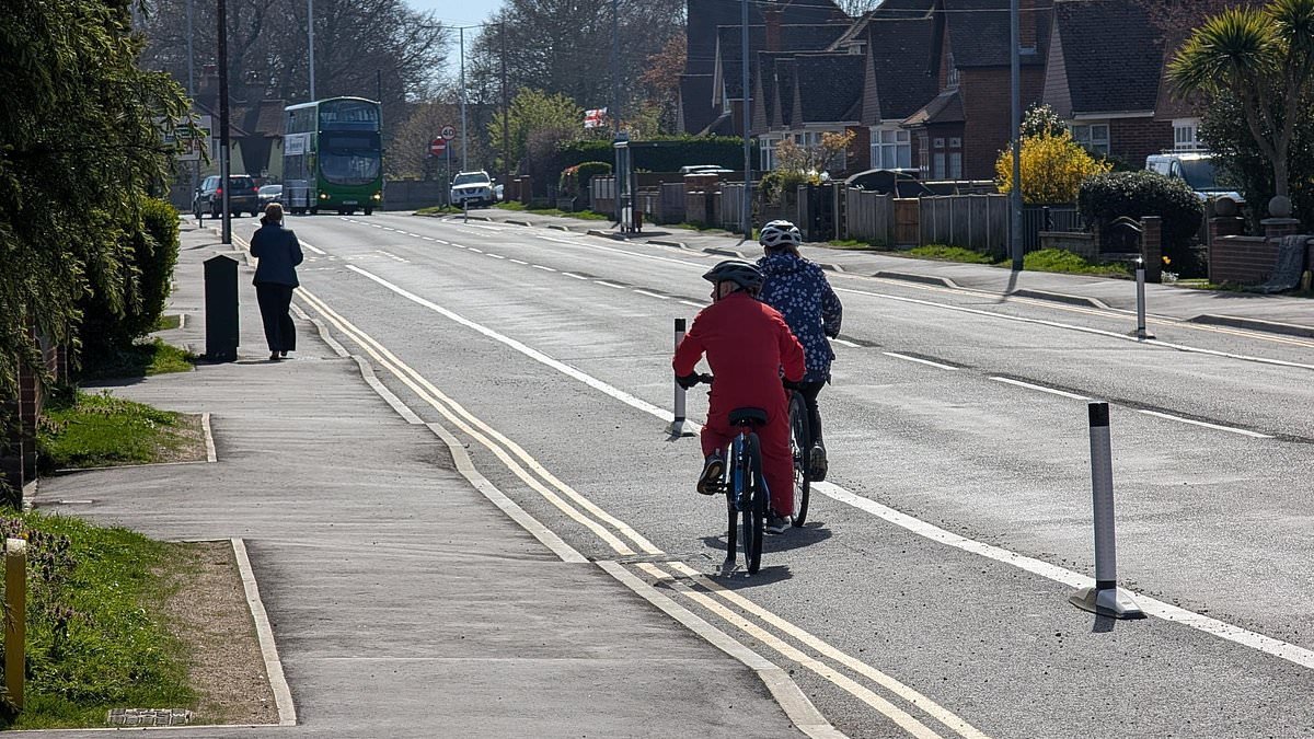 Expensive cycle lane costing cash-strapped council £500,000 is branded 'dangerous' by families for making less space for road users