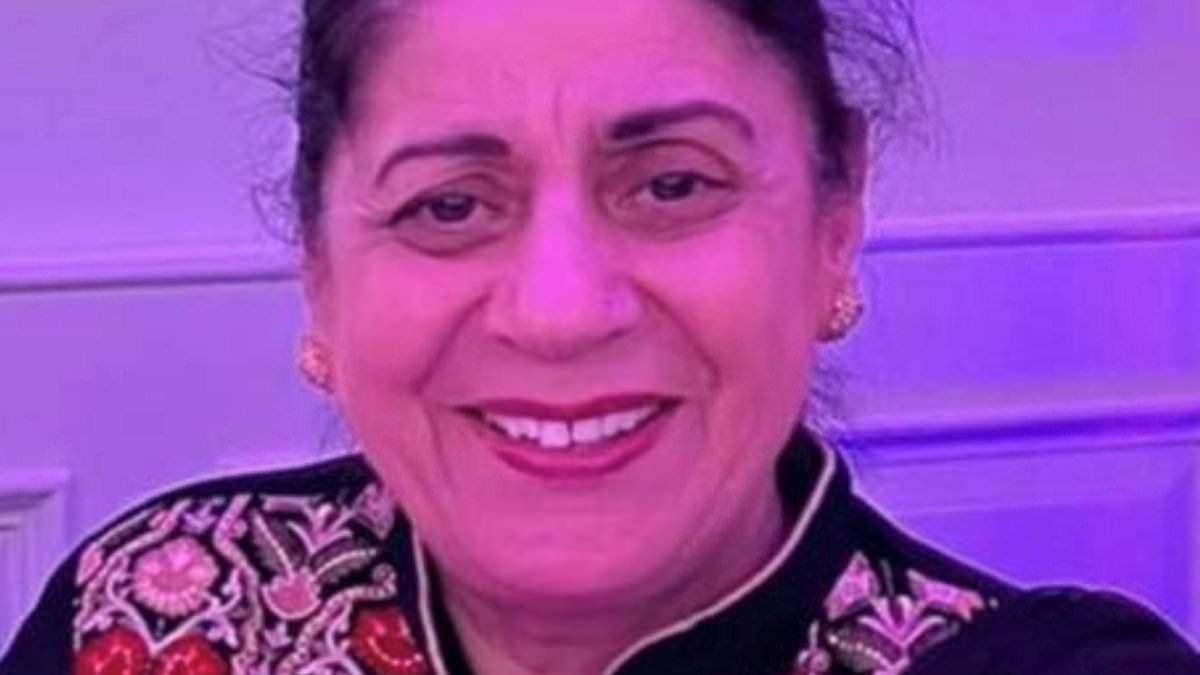 Broken-down vehicle alerts on M4 smart motorway were not working properly in days leading up to fatal crash that killed grandmother, court hears