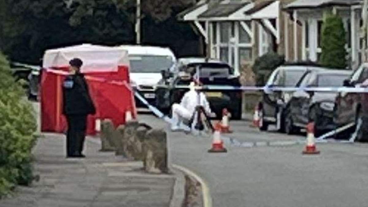 Police launch murder investigation after 19-year-old man is stabbed to death in seaside town on Good Friday