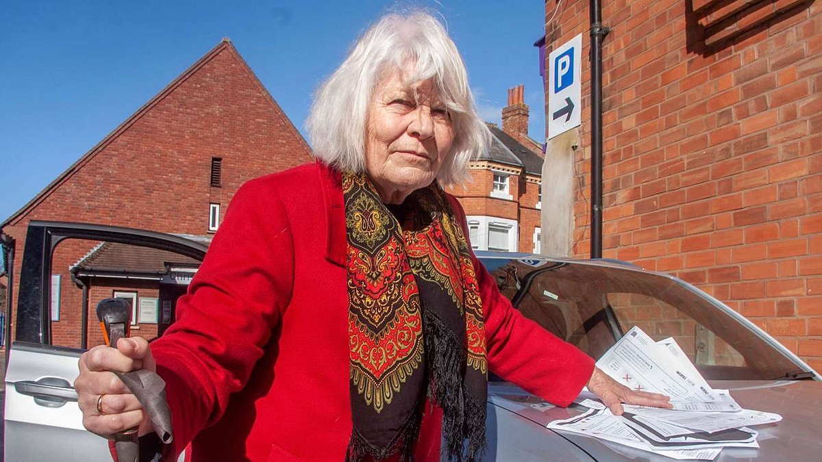 Grandmother is fined £270 despite ticket machine at car park being broken