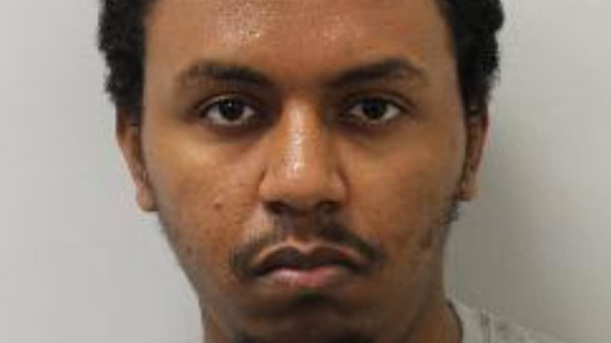 Gore video fanatic who stabbed grandmother to death at bus stop is indefinitely detained at psychiatric hospital - as victim's family demand answers over 'deeply troubling' case