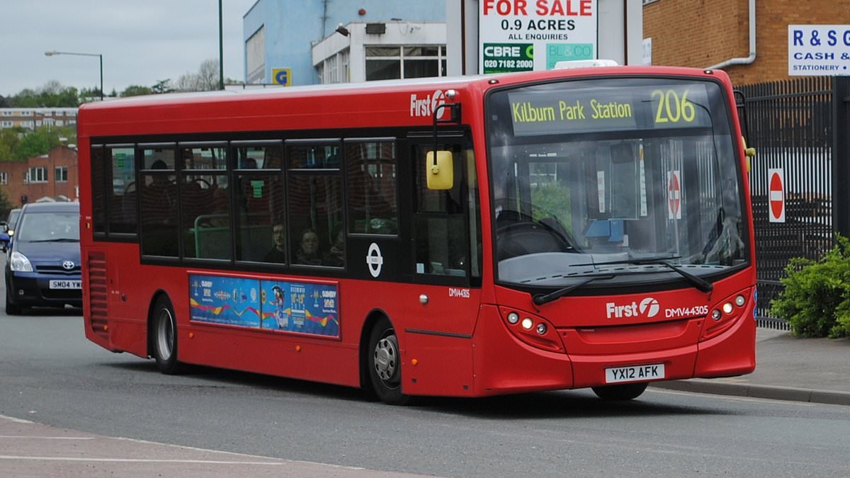 Hero bus driver is sacked after he chased thief who stole passenger's necklace then knocked him out with one punch