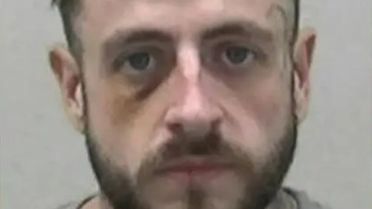 'Staggeringly stupid' man who tattooed three young children leaving them physically scarred is jailed