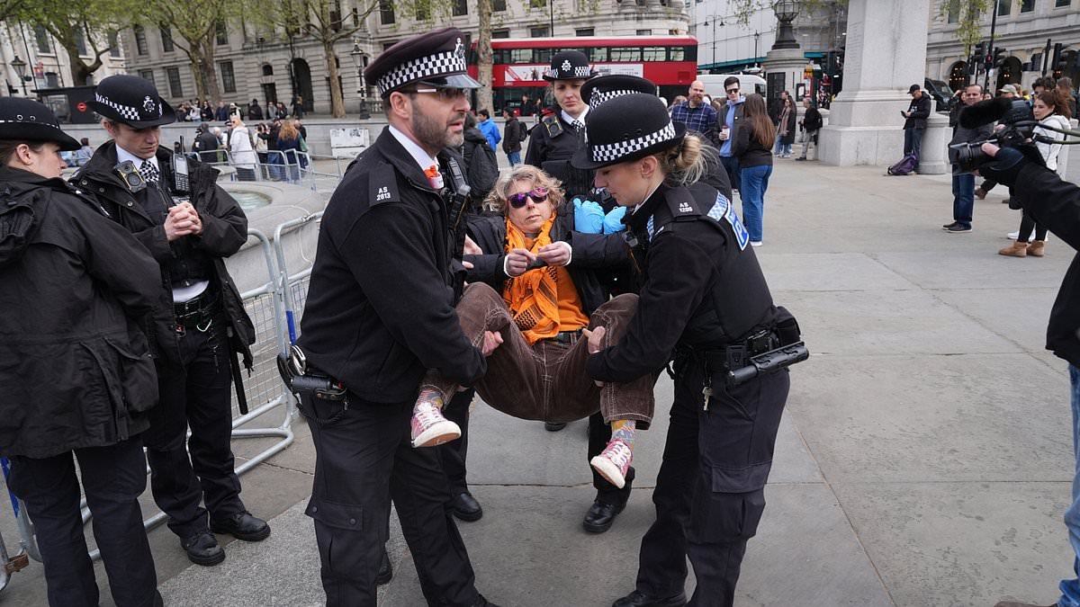 Met Police make first arrests as hundreds of Palestine Action supporters show their backing for banned group