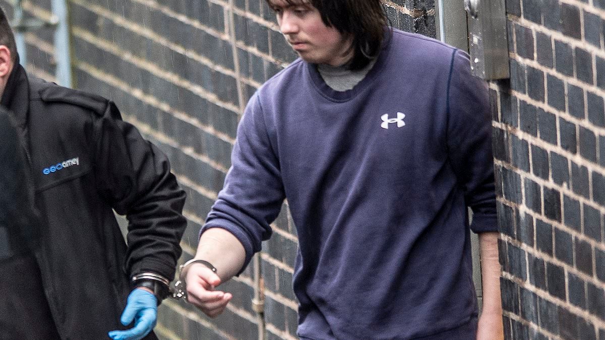 Moment misogynist teen leads his mother to isolated nature reserve before recording himself bludgeoning her to death and gloating online
