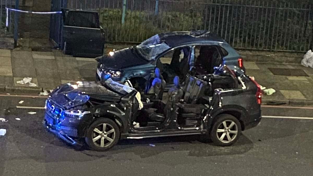 Met officers are charged after pregnant woman and her unborn baby were killed by 80mph unmarked police car a week before she was due to give birth