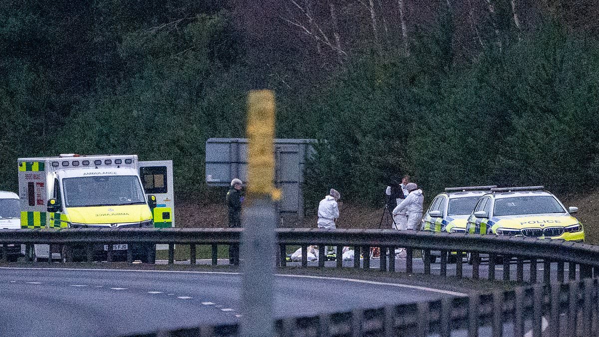 Police found 'gas-powered air gun' at scene after man was shot by armed officers after car crash in Norfolk, watchdog says