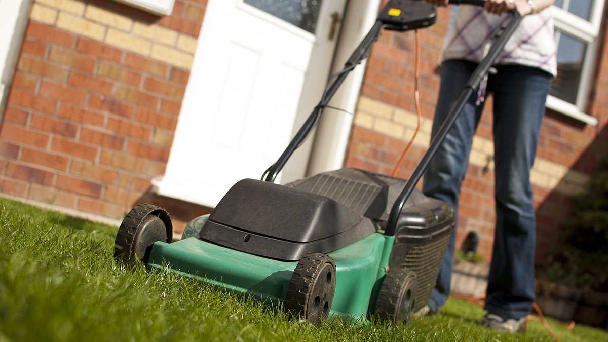 Is it too soon to mow the lawn? Expert reveals what will happen if you cut the grass now - and the simple test that could save you hundreds of pounds in machine repairs