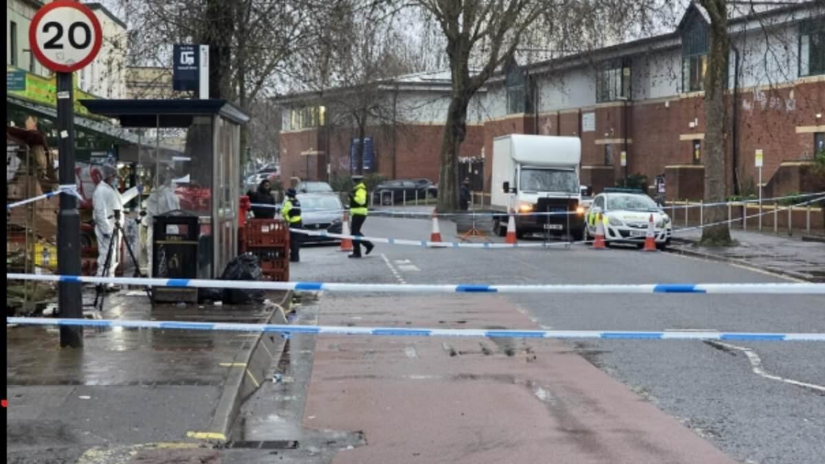 Man dies after being 'attacked by armed mob' in the street as police arrest seven people on suspicion of murder
